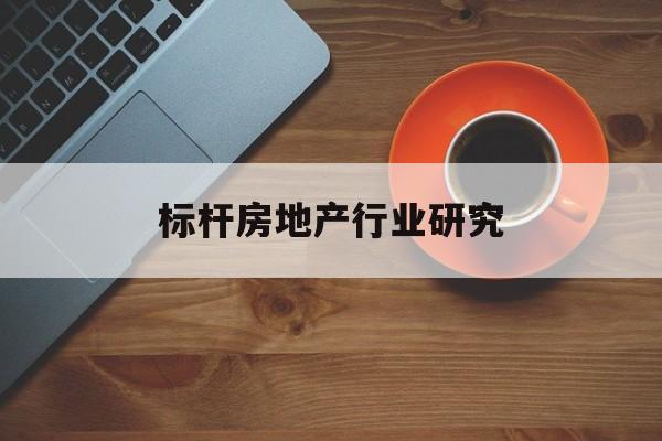 深圳市标杆房地产行业研究(房地产领域的标杆人物)