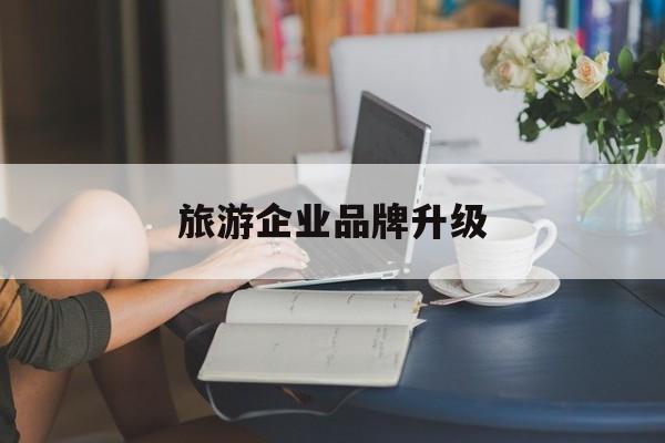 深圳市旅游企业品牌升级(旅游企业品牌升级措施)