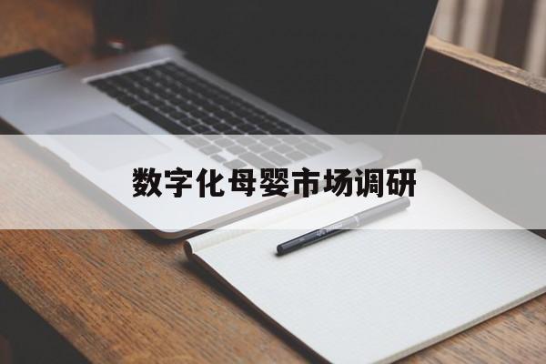 深圳市数字化母婴市场调研(数字化母婴市场调研报告)